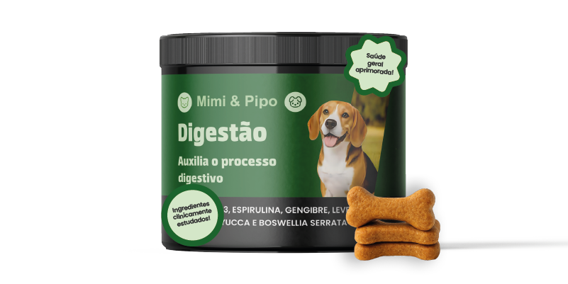 Digestão Saudável